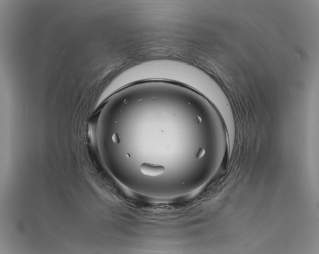 X0000111600215200907161559