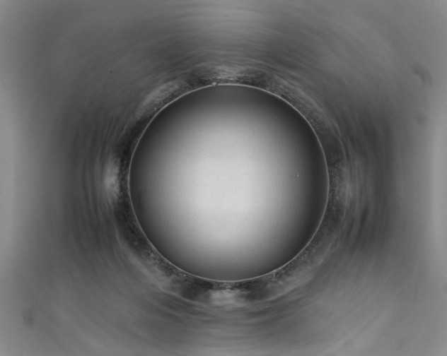 X0000111600216200907161559
