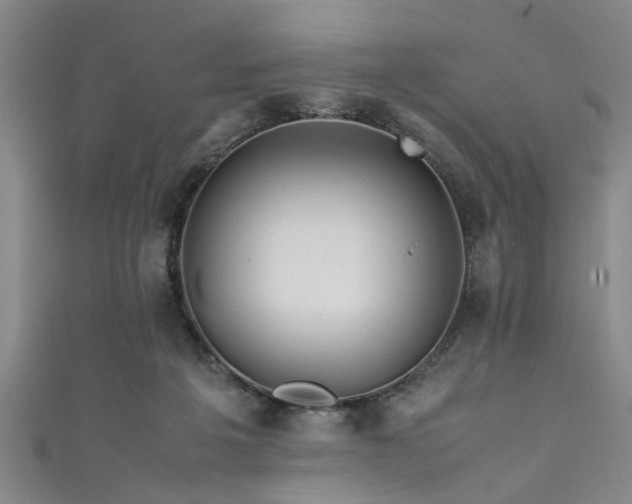 X0000111600217200907161559