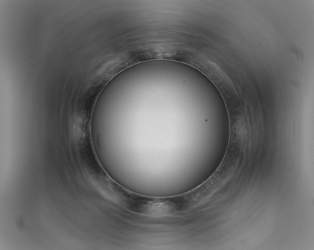 X0000111600218200907161559