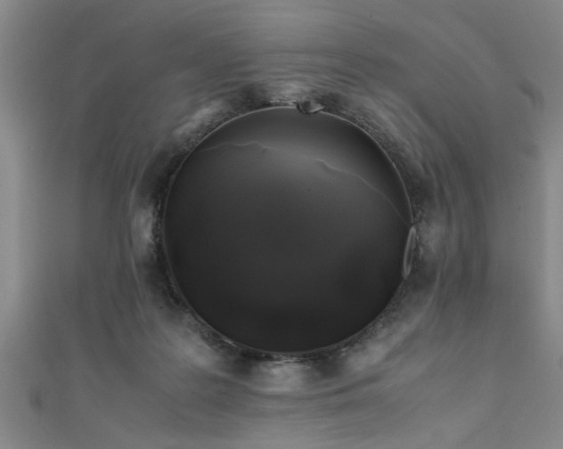 X0000111600219200907161559