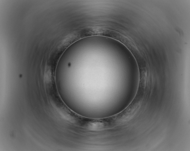 X0000111600220200907161559