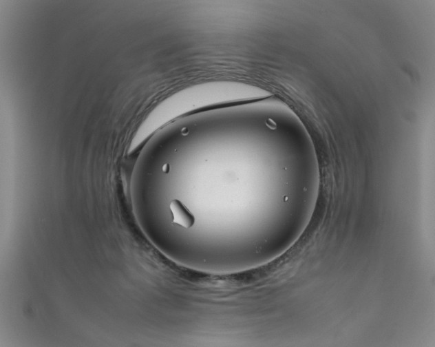 X0000111600221200907161559