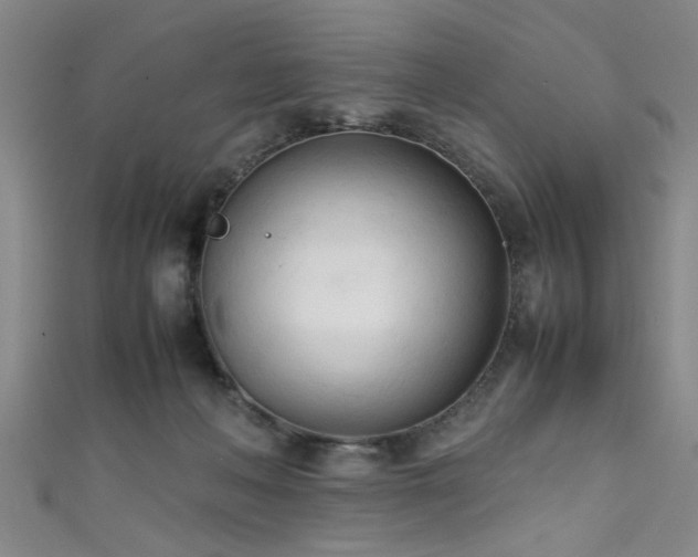 X0000111600222200907161559