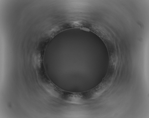 X0000111600223200907161559