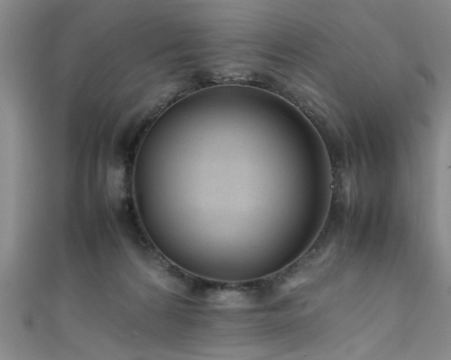 X0000111600224200907161559