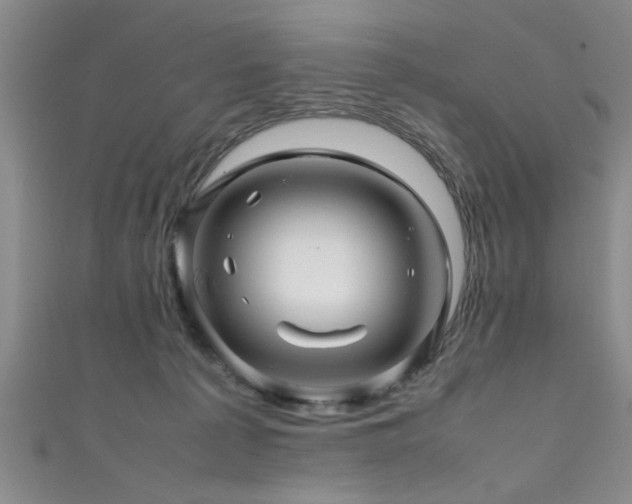 X0000111600225200907161559