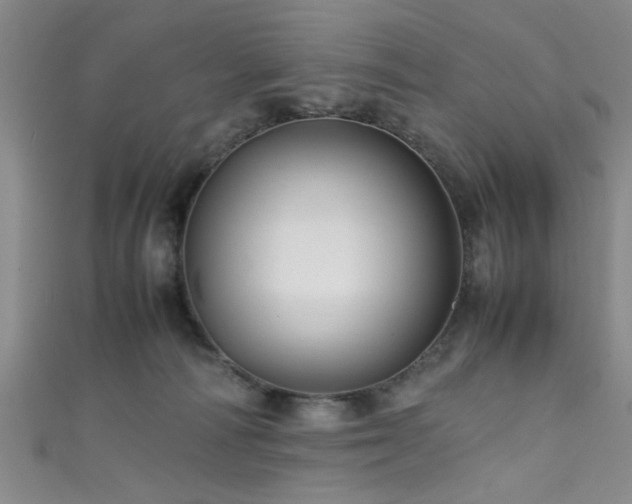 X0000111600226200907161559