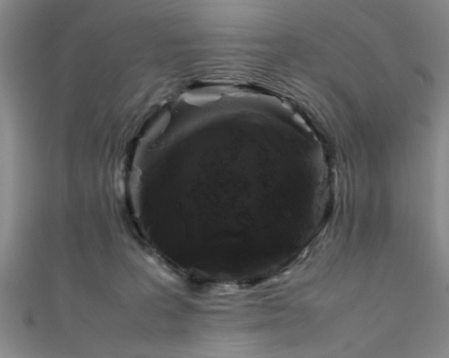 X0000111600227200907161559