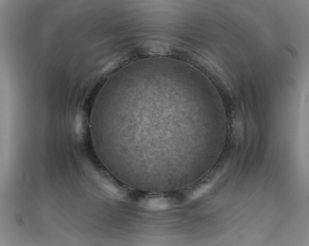 X0000111600228200907161559