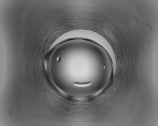 X0000111600229200907161559