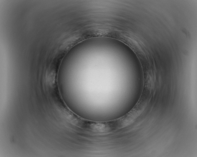 X0000111600230200907161559