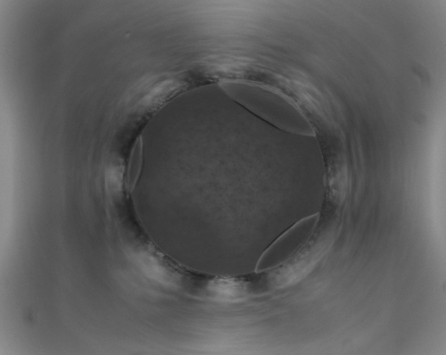 X0000111600231200907161559