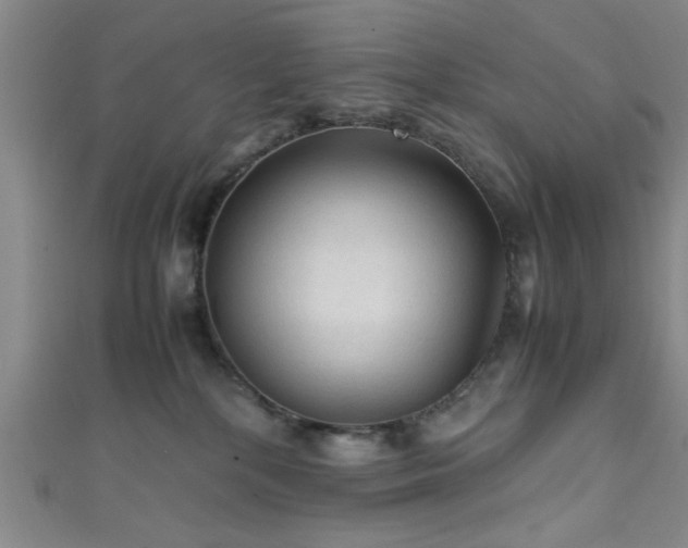 X0000111600232200907161559