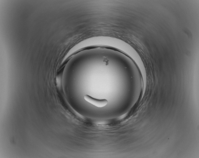 X0000111600233200907161559
