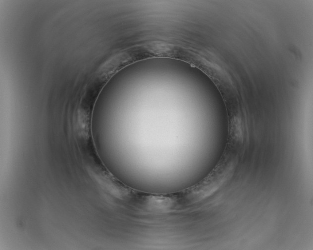 X0000111600234200907161559