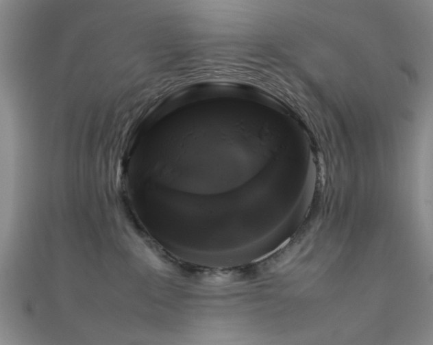 X0000111600235200907161559