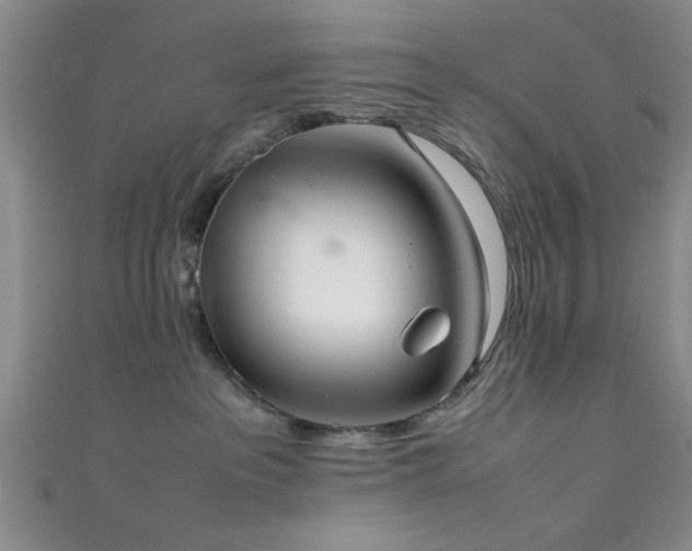 X0000111600237200907161559