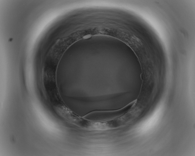 X0000111600239200907161559