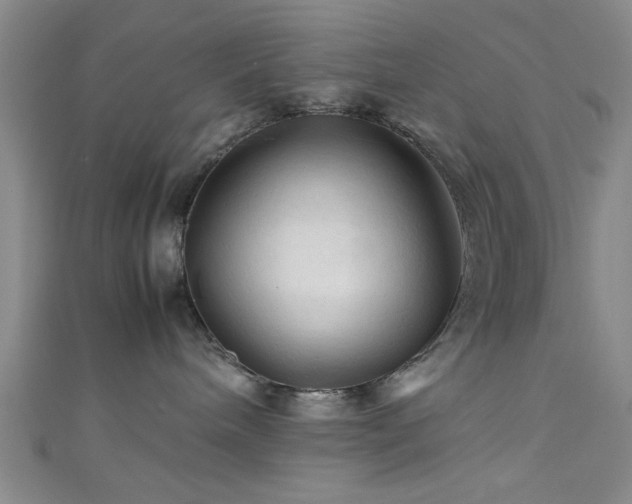 X0000111600240200907161559