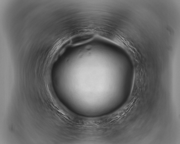 X0000111600241200907161558