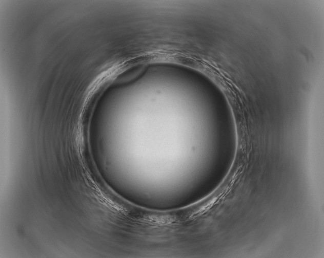 X0000111600245200907161558
