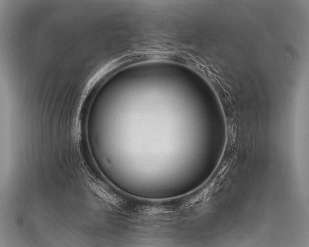 X0000111600246200907161559
