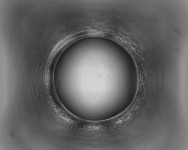 X0000111600247200907161559