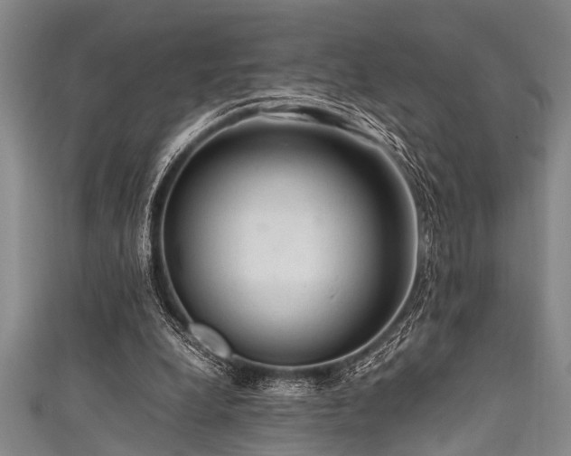 X0000111600248200907161559