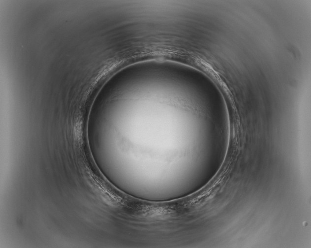 X0000111600249200907161559