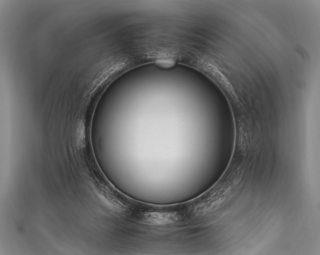 X0000111600251200907161559