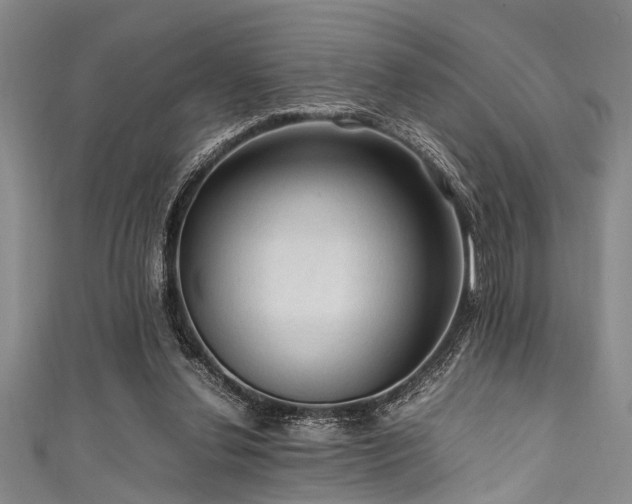 X0000111600252200907161559