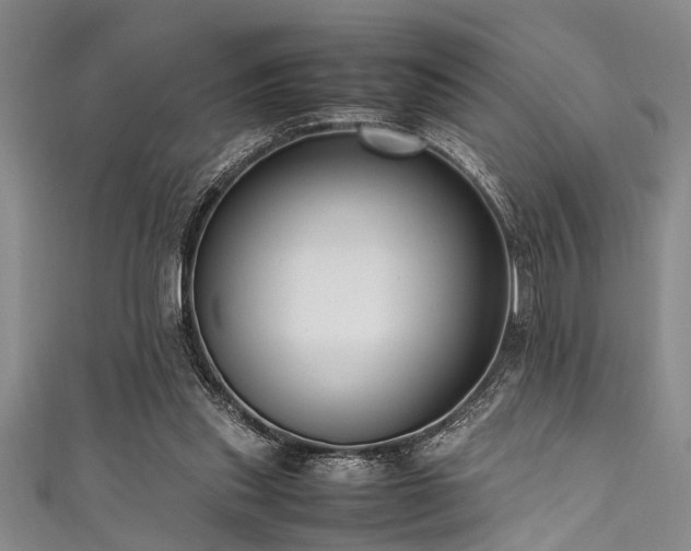 X0000111600253200907161559