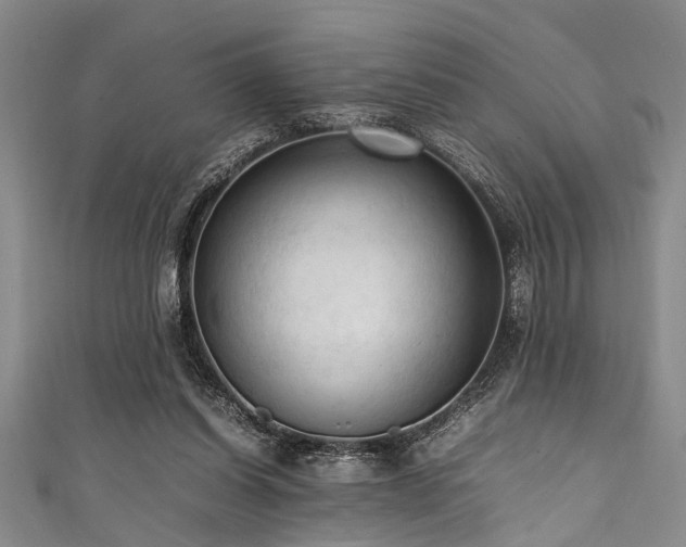 X0000111600254200907161559