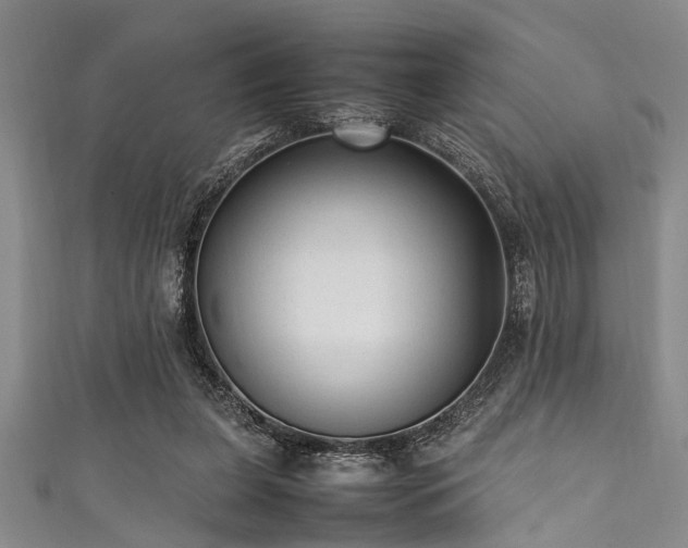 X0000111600255200907161559