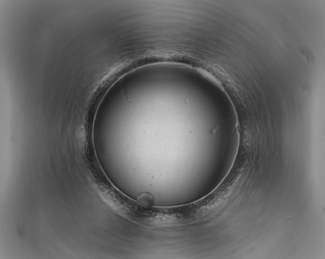X0000111600256200907161559