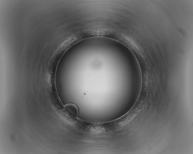 X0000111600258200907161559