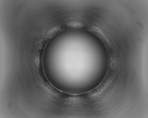 X0000111600259200907161559