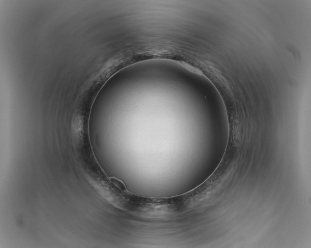X0000111600260200907161559