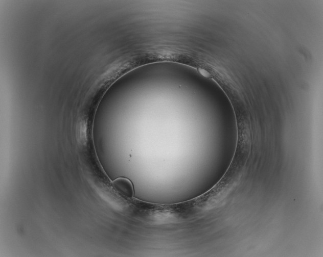 X0000111600262200907161559