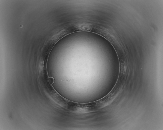 X0000111600263200907161559