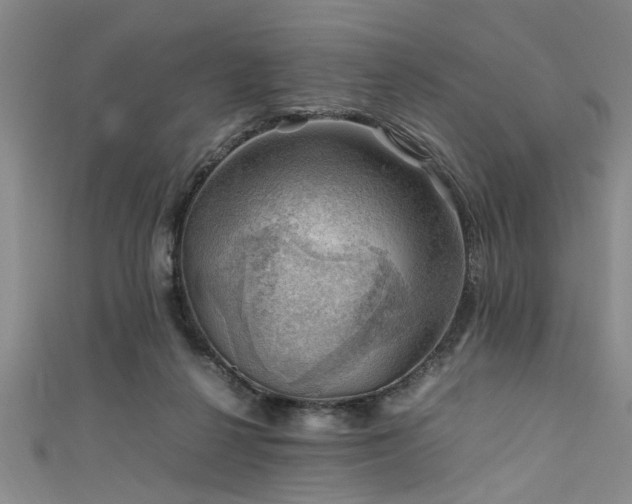 X0000111600264200907161559
