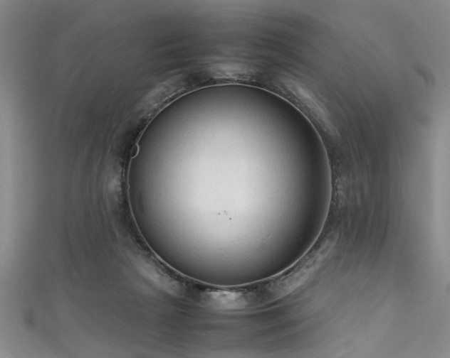 X0000111600265200907161559