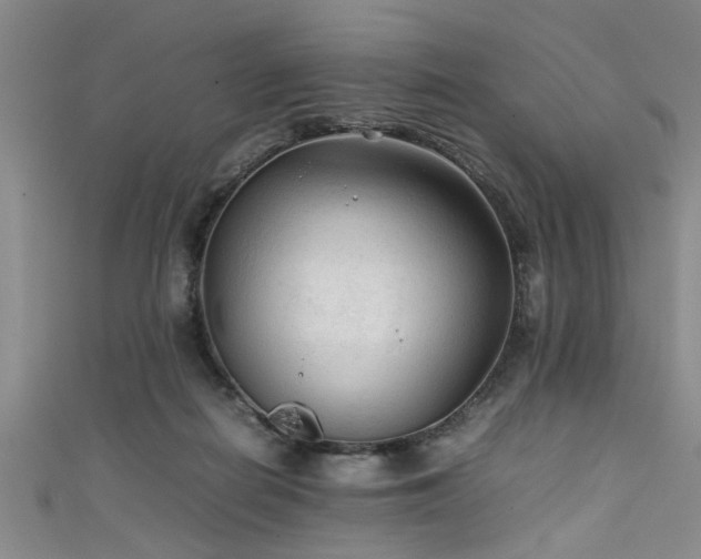 X0000111600266200907161559