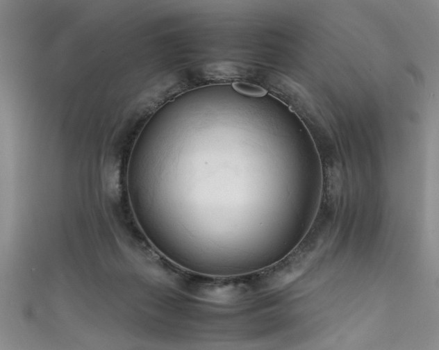 X0000111600267200907161559