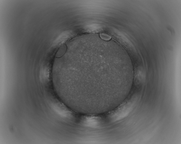 X0000111600268200907161559