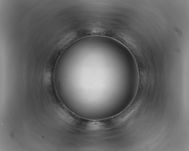 X0000111600269200907161559