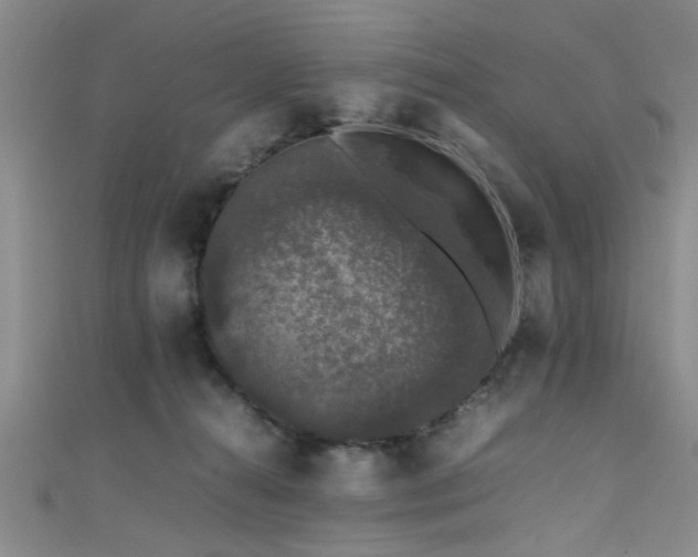 X0000111600272200907161559