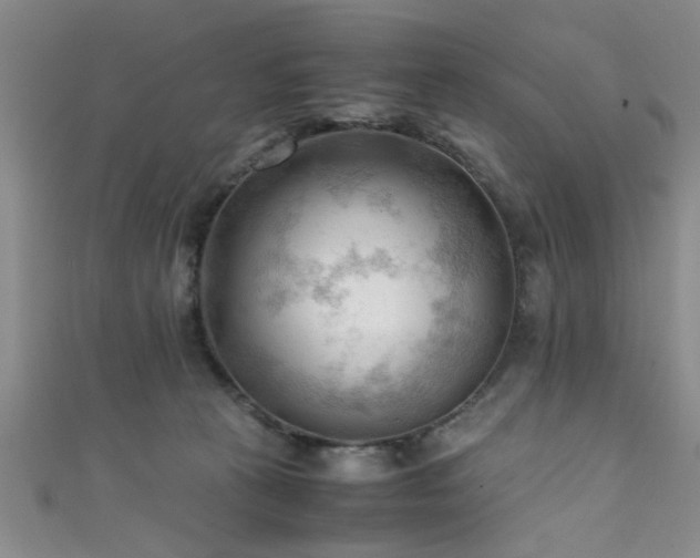 X0000111600273200907161559