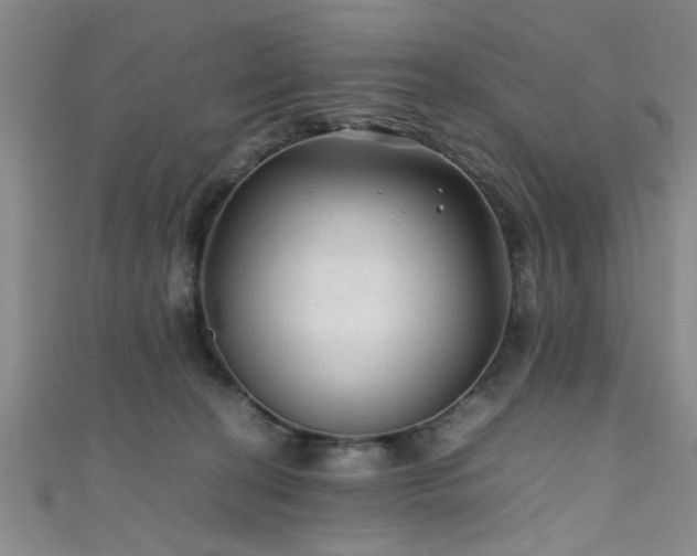 X0000111600274200907161559